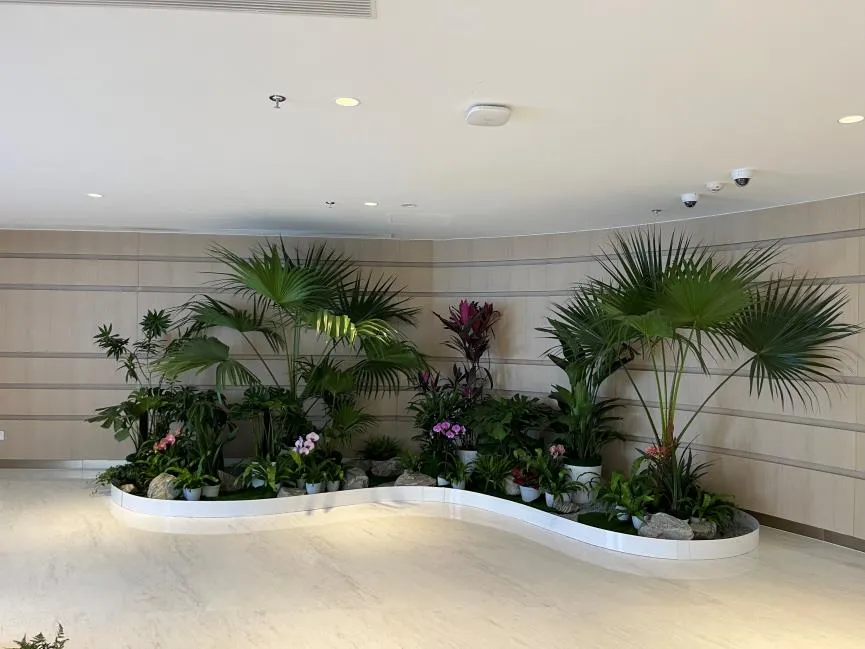 领略宁波杭州湾绿化修剪设计，感受自然精致雕琢